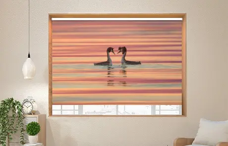 graphic blinds