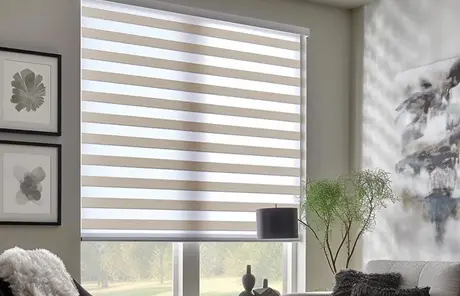 zebra blinds
