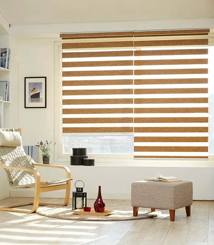 zebra blinds