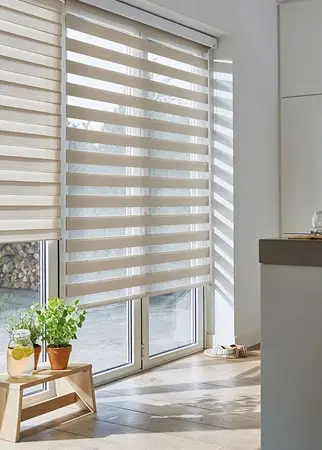 zebra blinds