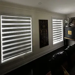 Zebra Blinds