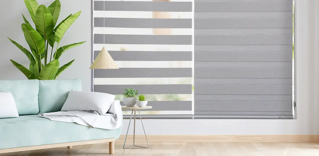 zebra Blinds